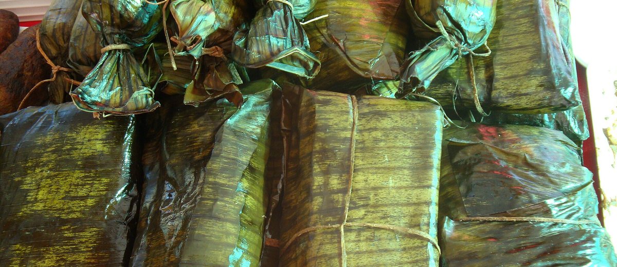 Portada de ejemplo: tamales envueltos en hoja